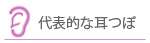 代表的な耳つぼ