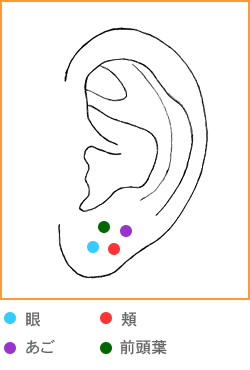 耳ツボ、リフトアップ