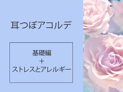 耳つぼ美癒学協会認定 動画講座