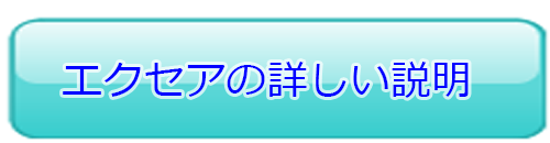 エクセアについて詳しい説明を見る