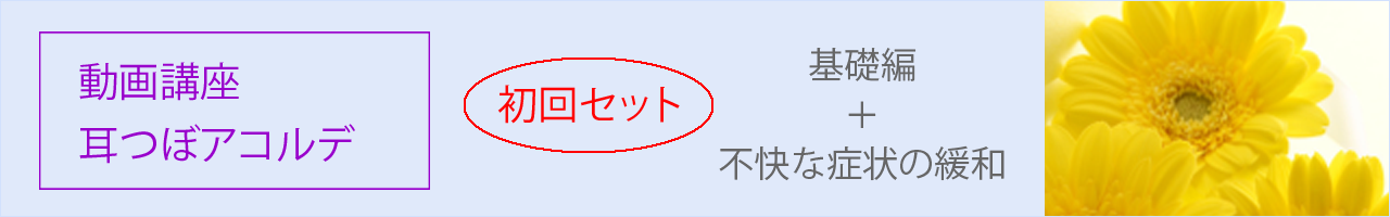 耳つぼ美癒学協会認定 動画講座