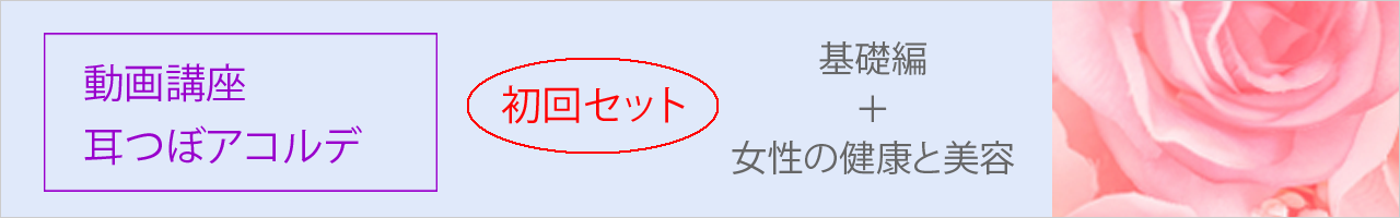 耳つぼ美癒学協会認定 動画講座