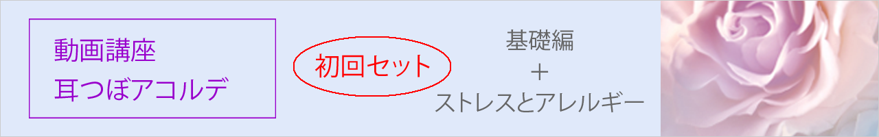 耳つぼ美癒学協会認定 動画講座